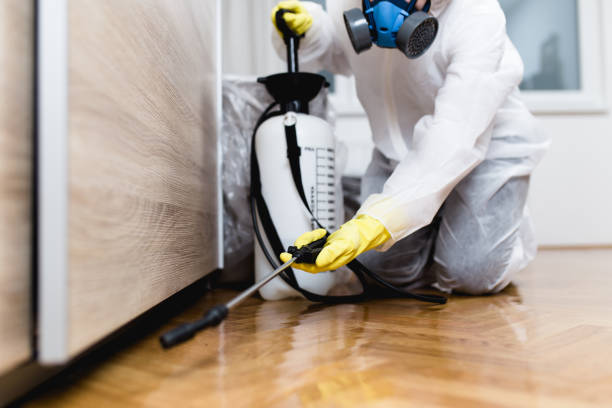 Best Local Pest Control Services  in Wahneta, FL
