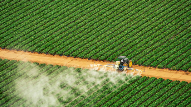Best Mosquito Control Services  in Wahneta, FL