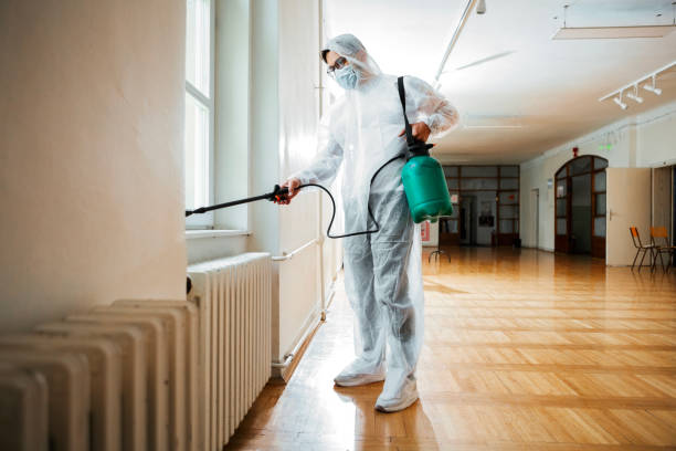 Best Mosquito Control Services  in Wahneta, FL
