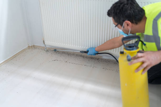 Best Cockroach Control Services  in Wahneta, FL